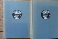 Führer durch die schweizerische Wasser- und Elektrizitätswirtschaft